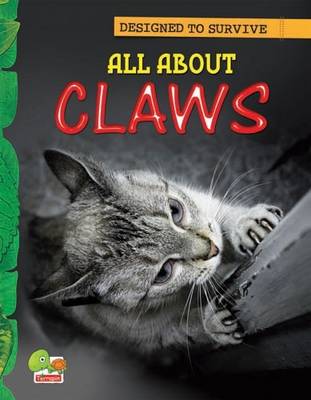 All About Claws: Key stage 1 - Designed to Survive (Paperback)