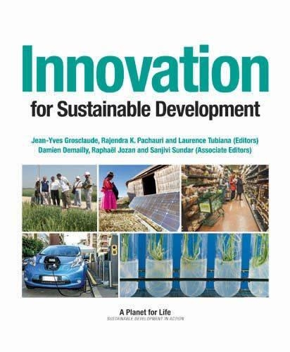 Innovation for Sustainable Development (Paperback)