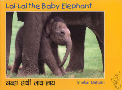 Lai Lai the Baby Elephant (Paperback)