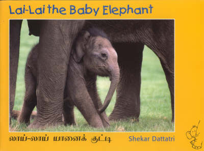 Lai Lai the Baby Elephant (Paperback)