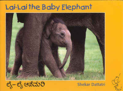Lai Lai the Baby Elephant (Paperback)