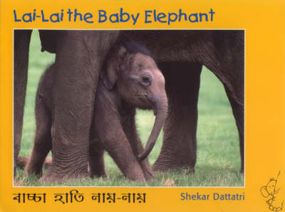 Lai Lai the Baby Elephant (Paperback)