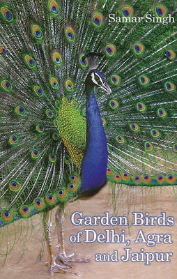 Garden Birds of Delhi, Agra & Jaipur (Paperback)