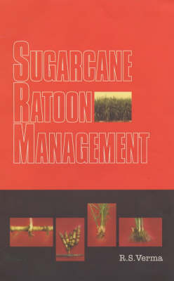 Sugarcane Ratoon Management (Hardback)
