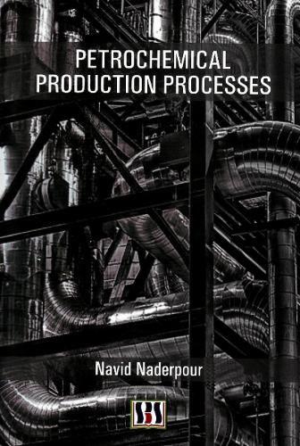 Petrochemical Production Processes (Hardback)
