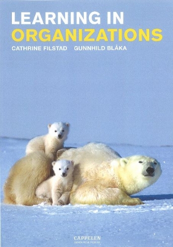 Learning in Organizations (Paperback)