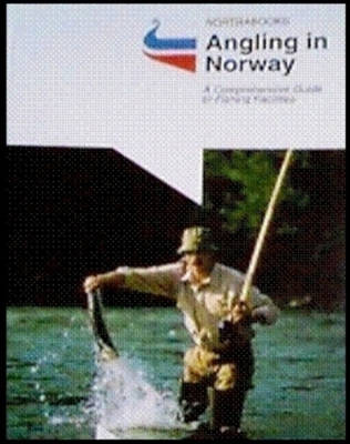 Angling in Norway: A Comprehensive Guide to Fishing Facilities (Paperback)
