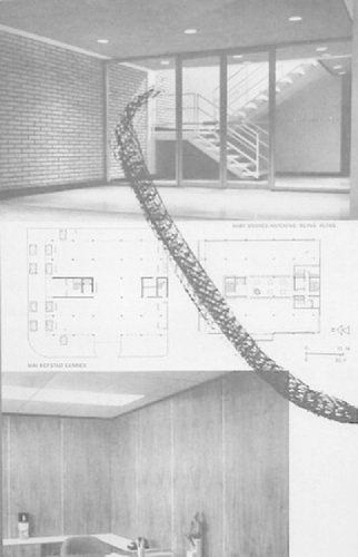 Baby Snakes Hatching. Ruins. Ruins. (Paperback)