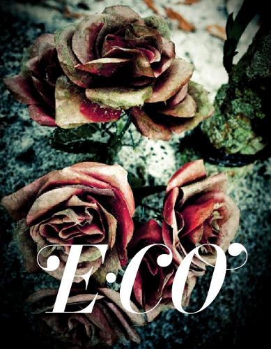 Eco (Hardback)