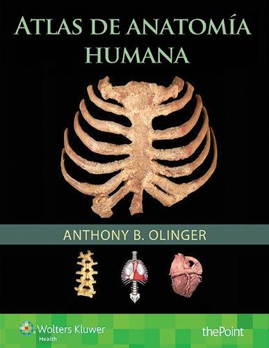 Atlas de anatomia humana (Paperback)