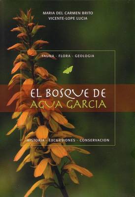 El Bosque de Aguagarcia (Paperback)