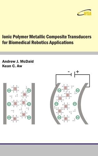 Ionic Polymer Metallic Composite Transducers for Biomedical Robotics Applications (Hardback)