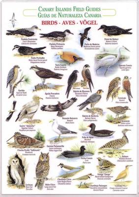 Birds (Waterproof Field Guide) - Canary Islands Field Guides (Bath book)