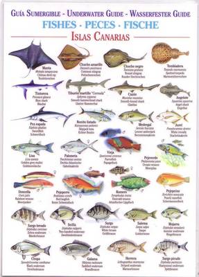 Fishes (Waterproof Field Guide) - Canary Islands Field Guides (Bath book)