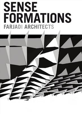 Sense Formations (Hardback)