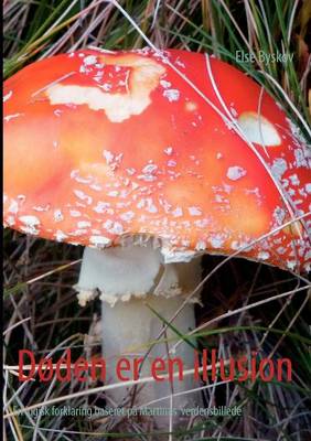 Doden er en illusion (Paperback)