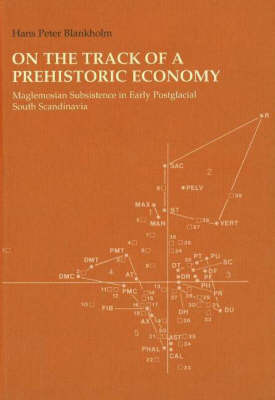 On the Track of a Prehistoric Economy: Maglemosian Subsistence in Early Postglacial South Scandinavia (Hardback)
