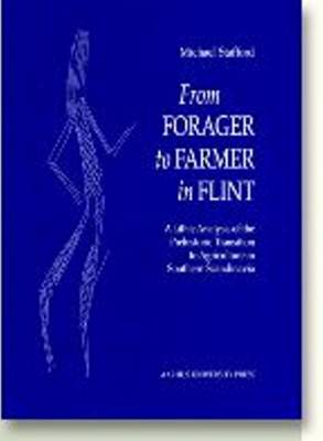 From Forager to Farmer in Flint: A Lithic Analysis of the Prehistoric Transition to Agriculture in Southern Scandinavia (Hardback)