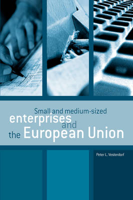 Small and Medium-sized Enterprises and the European Union (Paperback)