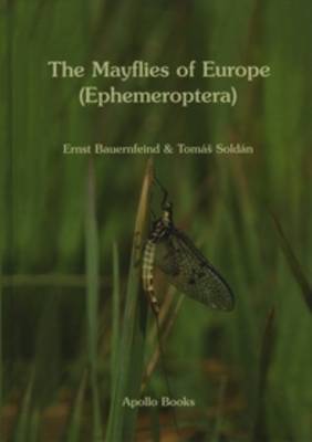 The Mayflies of Europe (Ephemeroptera) (Hardback)