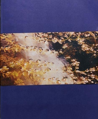 Gates To The Garden (Paperback)