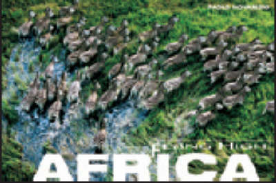 Africa - Flying High (Hardback)
