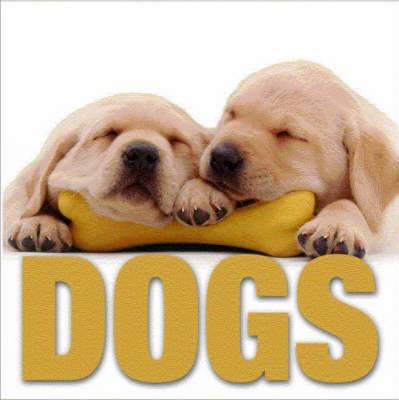 Dogs - Minicube Book (Hardback)