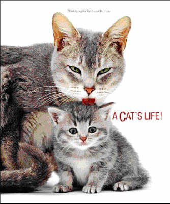 Cat's Life (Hardback)