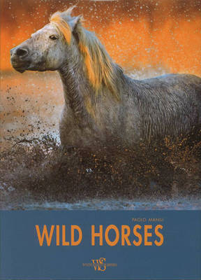 Wild Horses - Pets (Hardback)