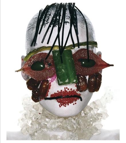 TERRY WINTERS 作品集   Phyllis Plous 9788857200323.jpg