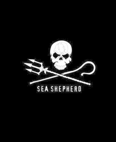 Sea Shepherd: 40 Years (Hardback)
