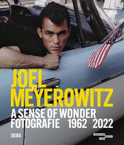 Skira Joel Meyerowitz, A Sense Of Wonder (Bilingual Edition)