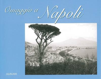 Homage to Naples (Hardback)