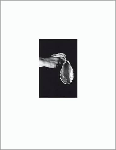 Lidia the Sky is Falling (Hardback)