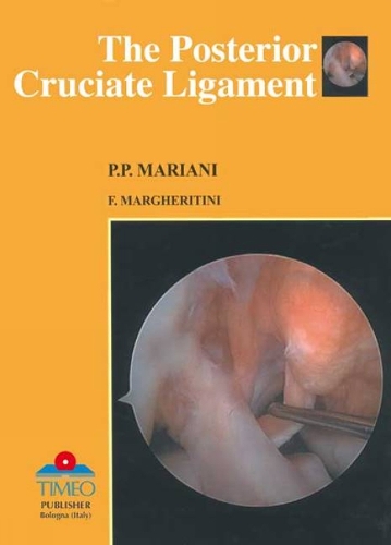 Posterior Cruciate Ligament (Hardback)