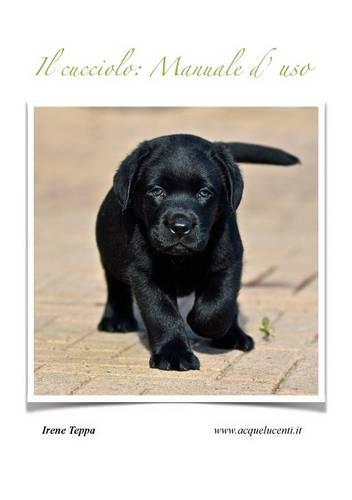 Il cucciolo: Manuale d'uso (Paperback)
