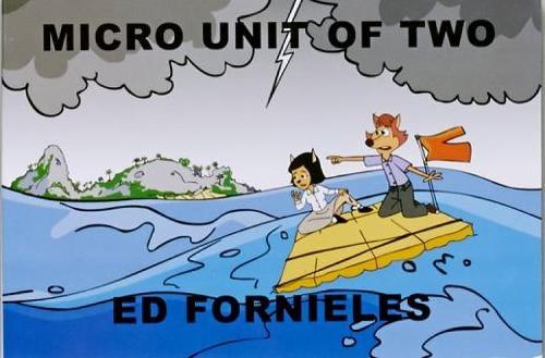 Micro Unit of Two (Paperback)