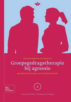 Groepsgedragstherapie Bij Agressie: Gevalsbeschrijvingen Uit de Behandelkamer - Psychotherapie in Praktijk (Paperback)