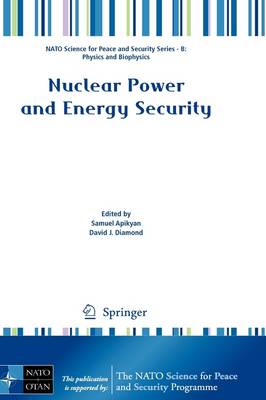 Nuclear Power and Energy Security - NATO Science for Peace and Security Series B: Physics and Biophysics (Paperback)