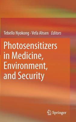 Photosensitizers in Medicine, Environment, and Security (Hardback)