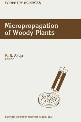 Micropropagation of Woody Plants - Forestry Sciences 41 (Paperback)