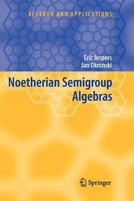 Noetherian Semigroup Algebras - Algebra and Applications 7 (Paperback)