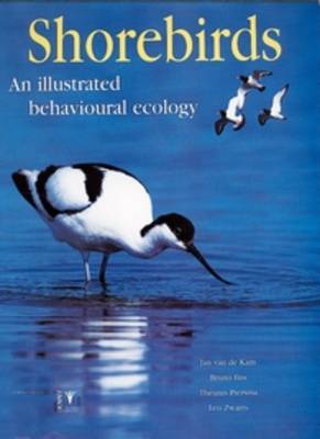 Shorebirds: An Illustrated Behavioural Ecology (Hardback)