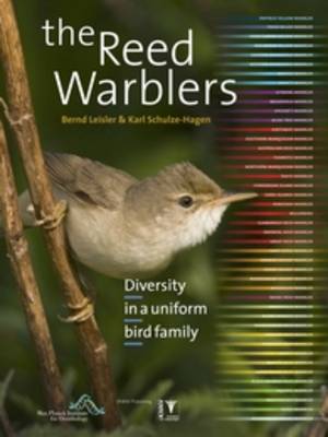 The Reed Warblers: Diversity in a Uniform Bird Family (Hardback)