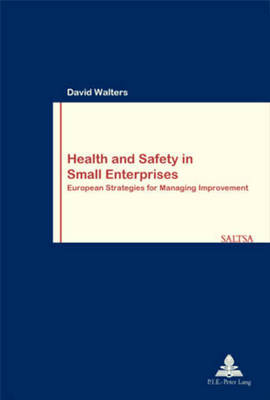 Health and Safety in Small Enterprises - Travail & Societe/Work & Society 31 (Paperback)