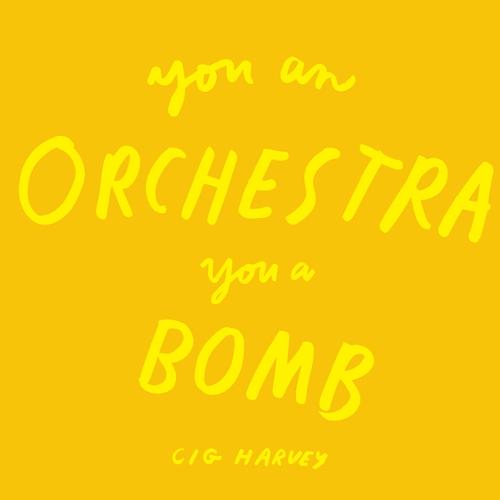 You An Orchestra You A Bomb (Hardback)