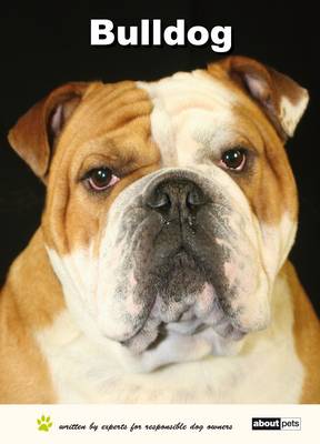 Bulldog - Dog Breed Expert Series (Paperback)
