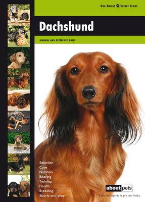 Daschund - Dog Breed Expert Series (Paperback)