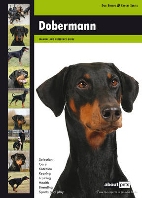 Doberman - Dog Breed Expert Series (Paperback)