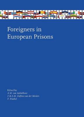 Foreigners in European Prisons (Paperback)